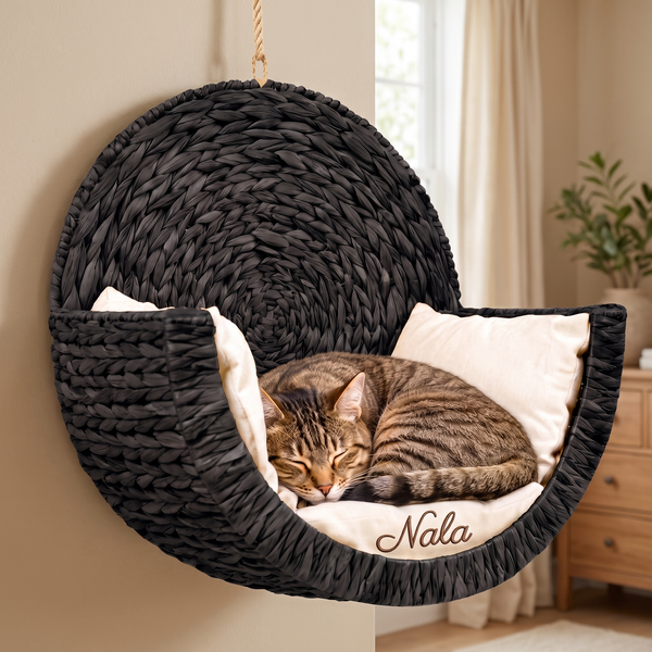Chat cherchant la hauteur